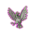 Exotic Pidgeotto